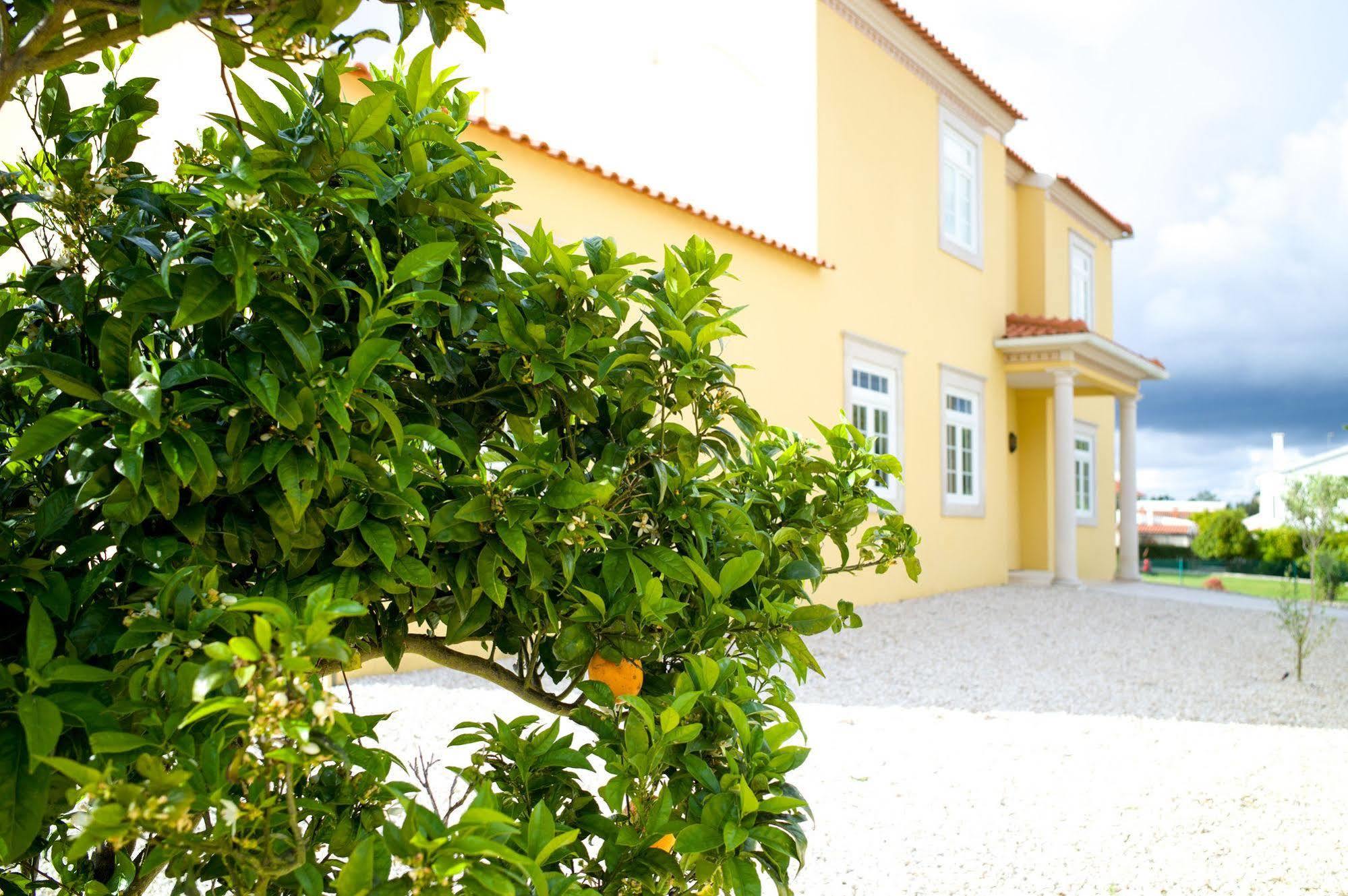 مبيت وإفطار Nadadouro Casa Pedra Nobre المظهر الخارجي الصورة