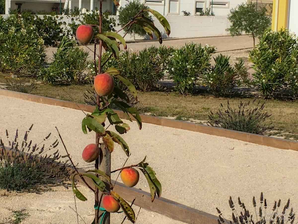 مبيت وإفطار Nadadouro Casa Pedra Nobre المظهر الخارجي الصورة
